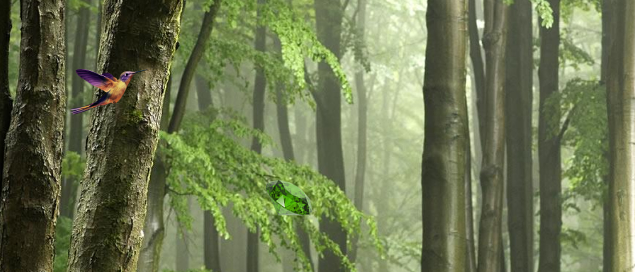 Mystic Sunset Forest