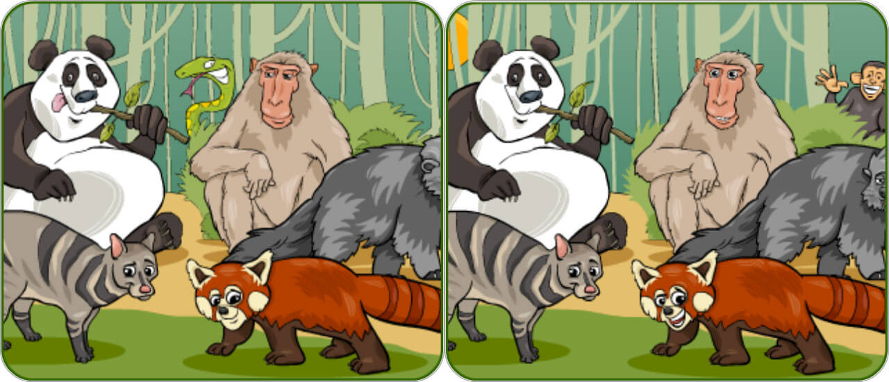 Wildlife Safari Five Diffs